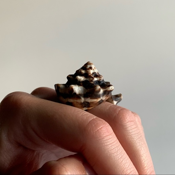 Shell Ring Size 6 - Picture 3 of 3